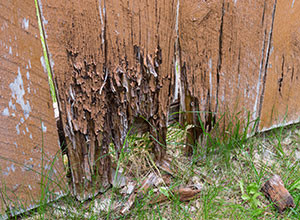 wooden-fence-rotting-300x220.jpg