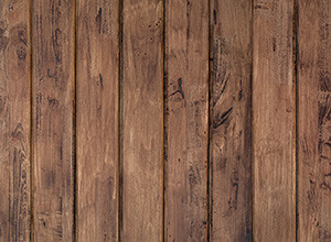 hardwood-v-softwood-300x220.jpg