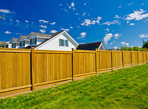 timber-fencing-300x220.jpg