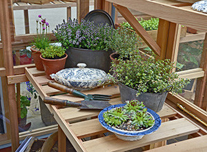 guide-to-buying-a-potting-shed-300x220.jpg