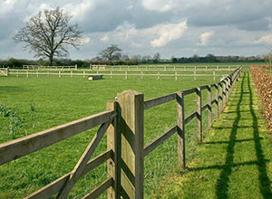 A-guide-to-post-and-rail-fencing-300x220.jpg