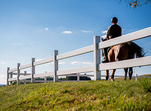 A guide to equestrian fencing