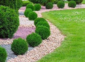 How to use gravel in your garden