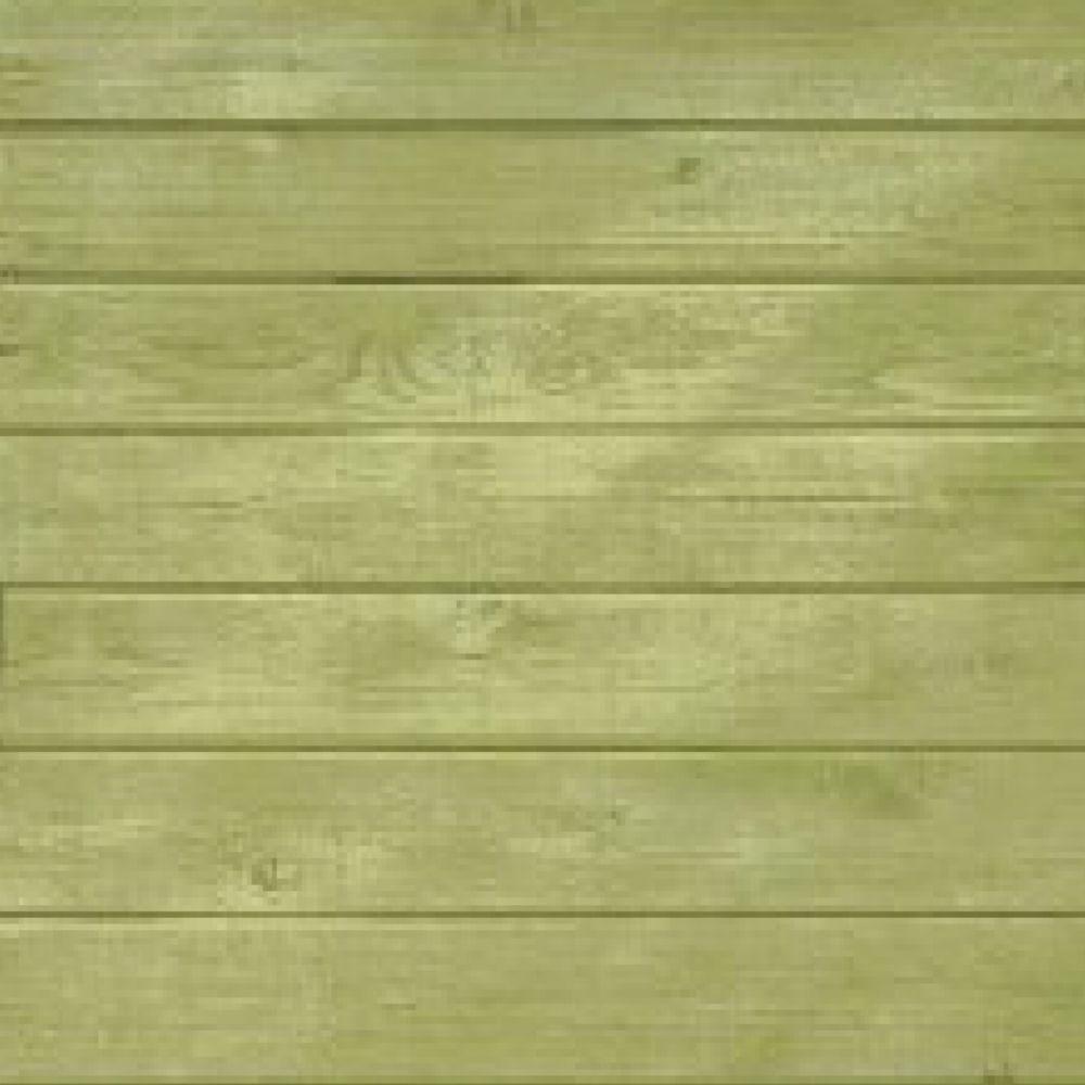 Decking Stain - Light Green | Free Delivery Available | Protek